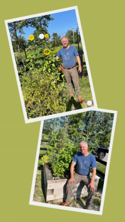  Verd Nolan, president of The Organic Gardener at Riverwoods Community Garden